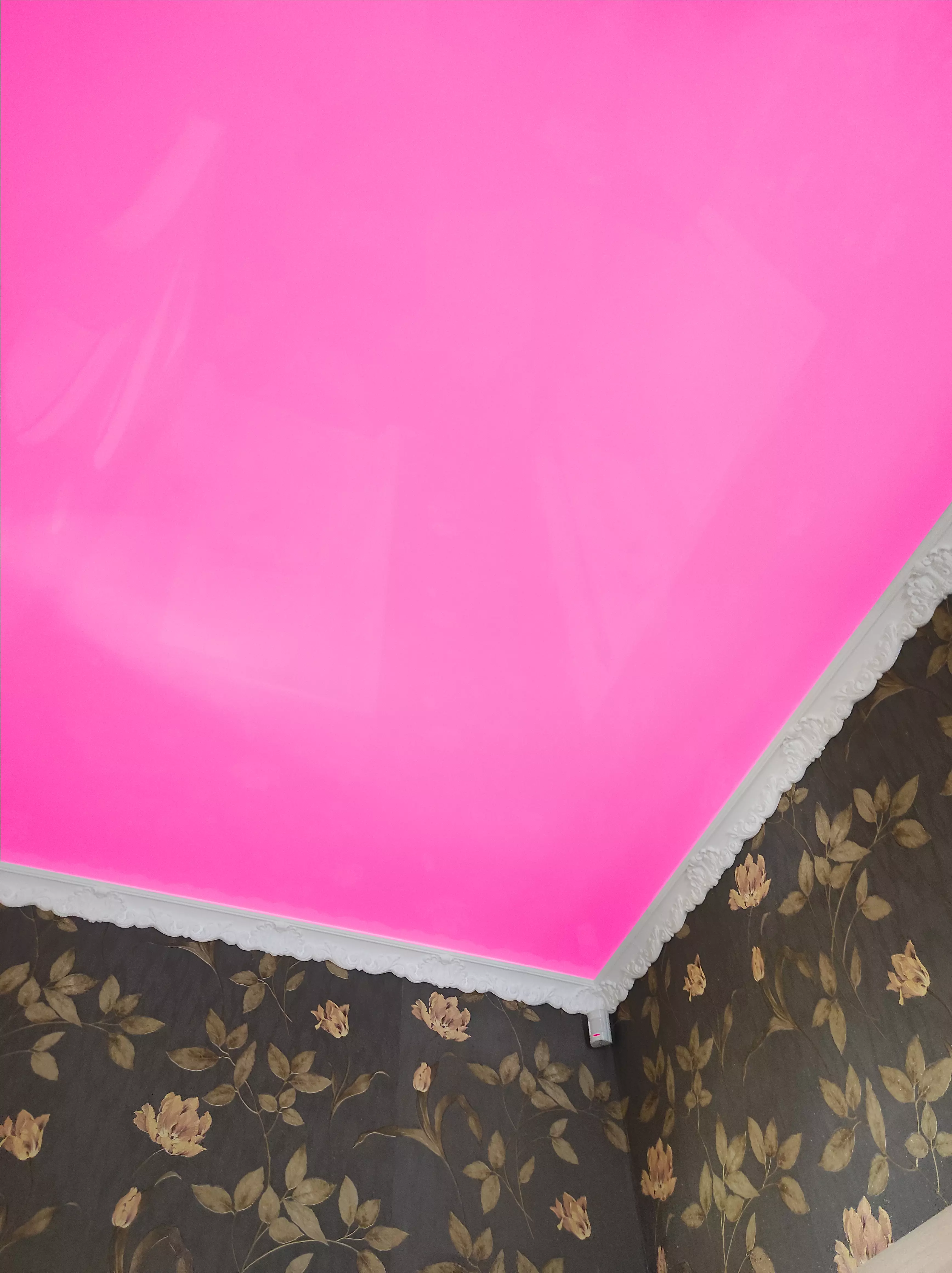 Дзержинск, проспект Циолковского, 86, фото 2