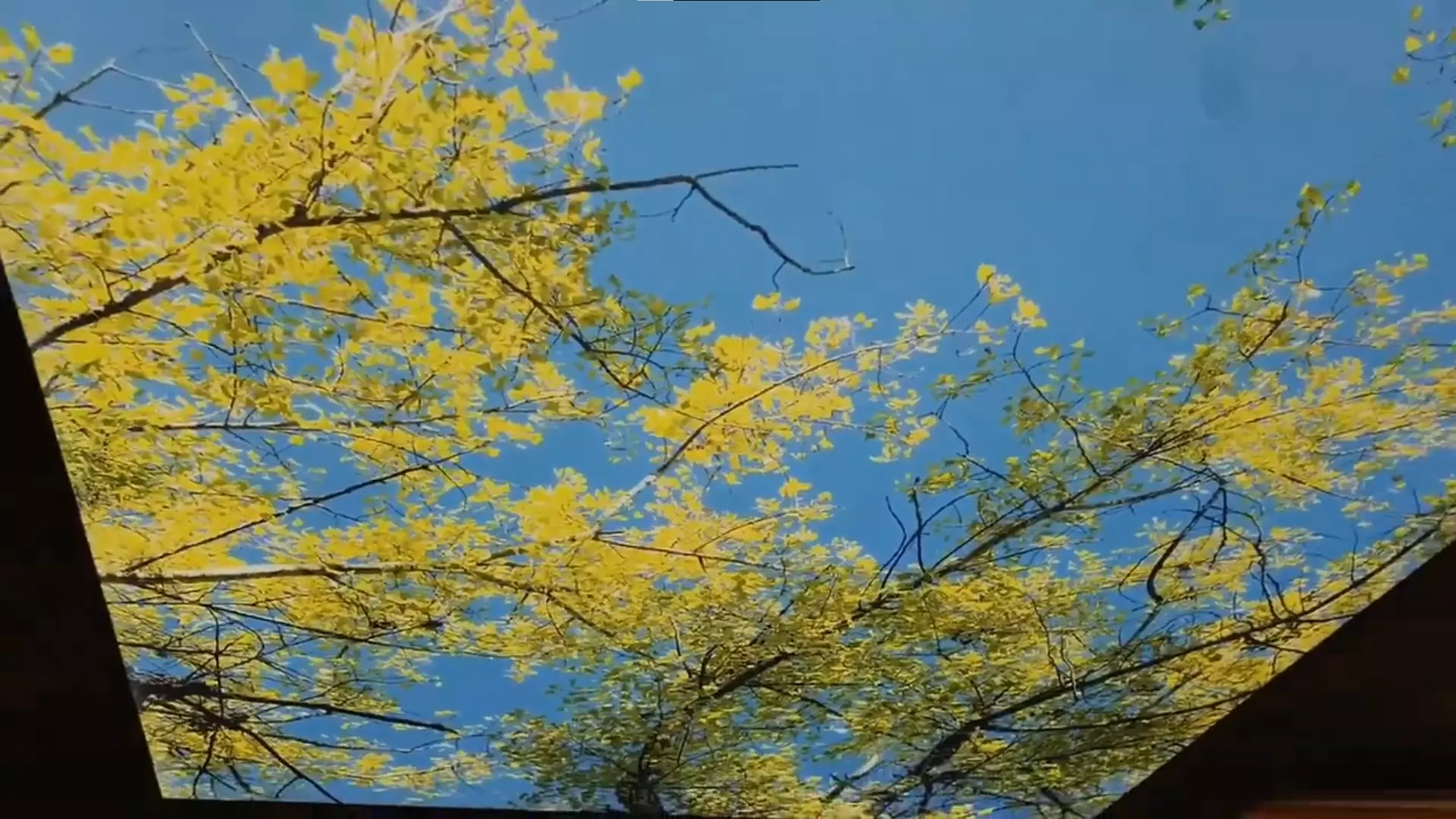 Ставрополь, Октябрьская, 235и, фото 2