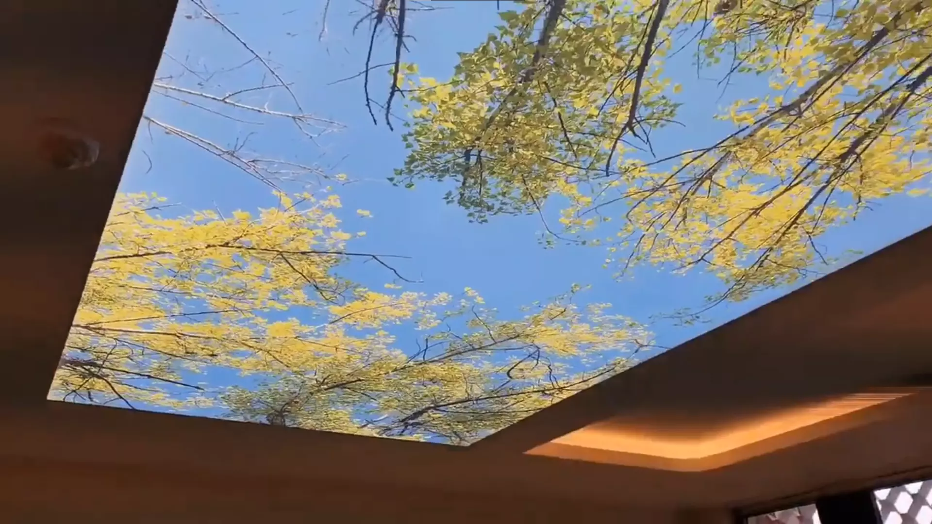 Ставрополь, Октябрьская, 235и, фото 3