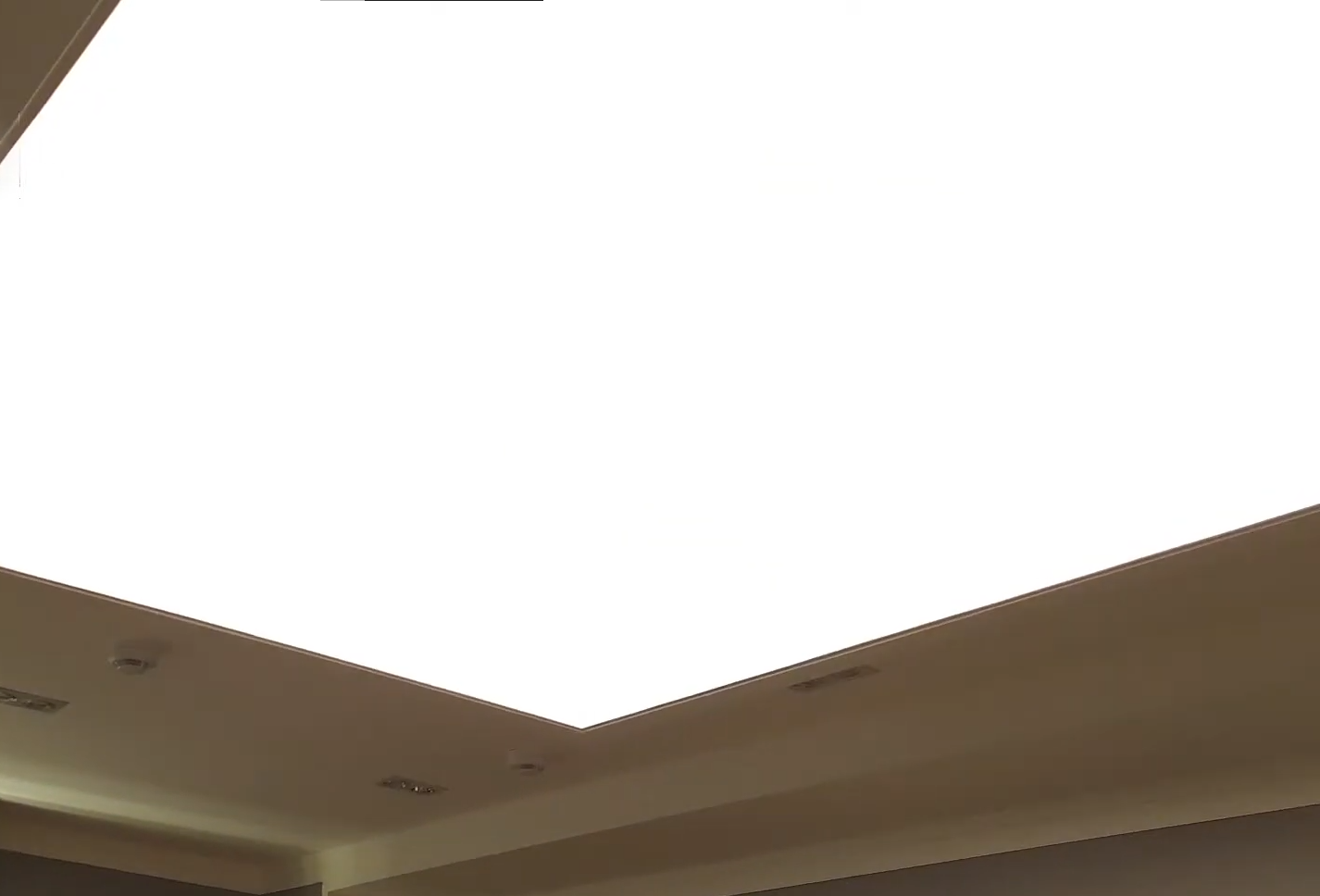 Светопропускающие